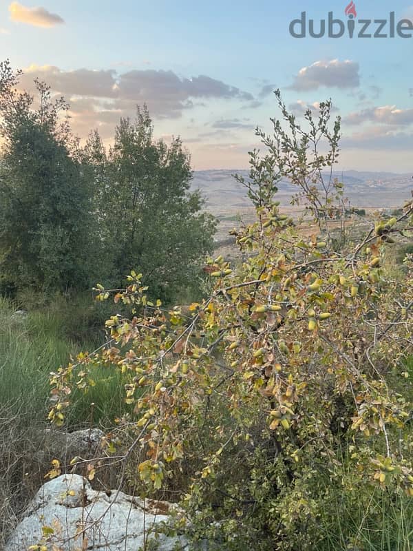 ارض للبيع في راشيا الوادي land for sale in rashaya 6