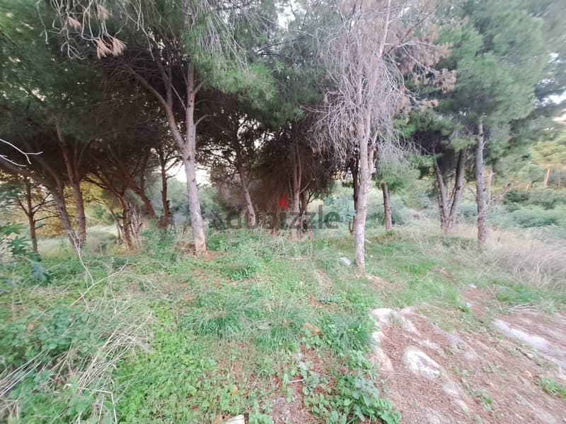 Land for sale in Mtayleb أرض للبيع في المطيلب 2