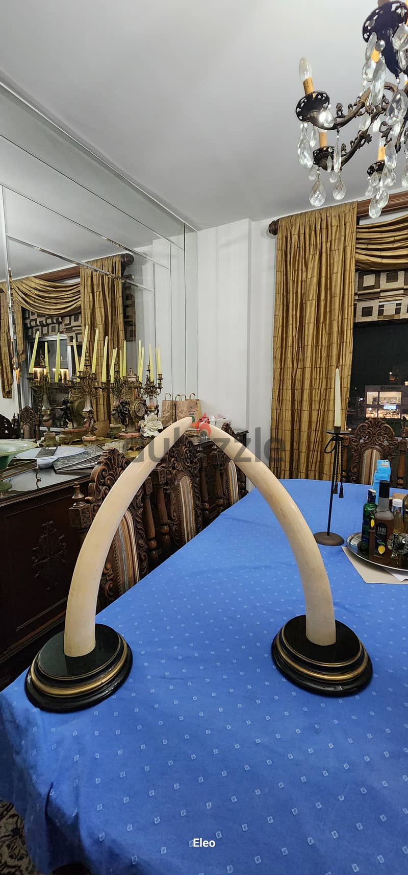 2 twin elephant ivory tusks 1