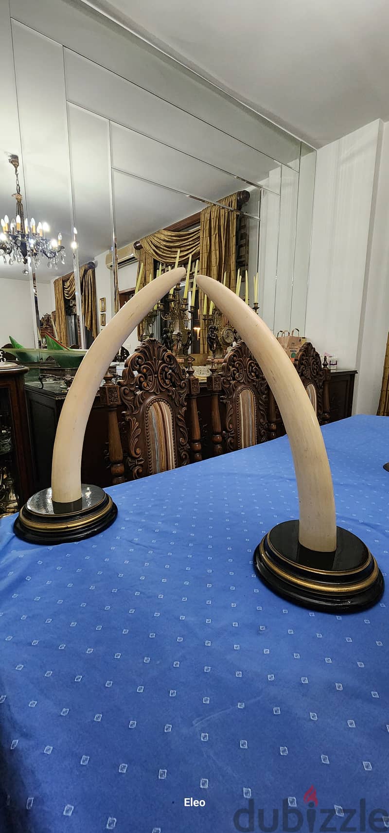 2 twin elephant ivory tusks 2