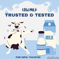 Cow Milk  حليب بقر 0