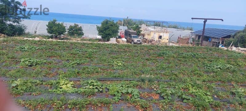 land for sale in naher ibrahim. ارض للبيع في نهر ابراهيم ٢٠٠٠$/م 6