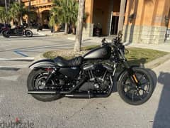 “ Rare To find “ Harley Davidson ironXL883 — 2,500km only— 0