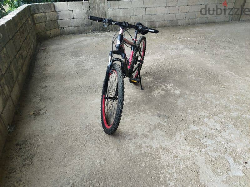 frike bike for sale 1