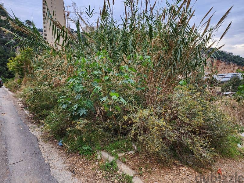 Industrial Land for sale in mkalles ارض صناعية للبيع في المكلس 0