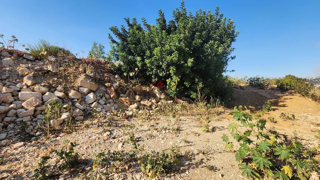 Land for sale in Louaizeh ارض للبيع في اللويزة 4