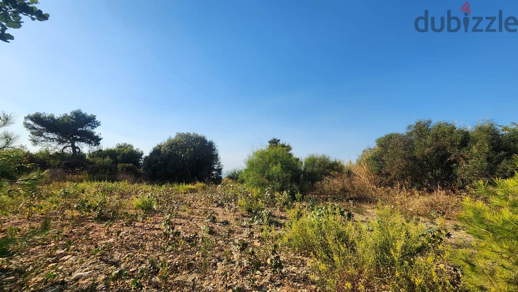 Land for sale in Louaizeh ارض للبيع في اللويزة 6