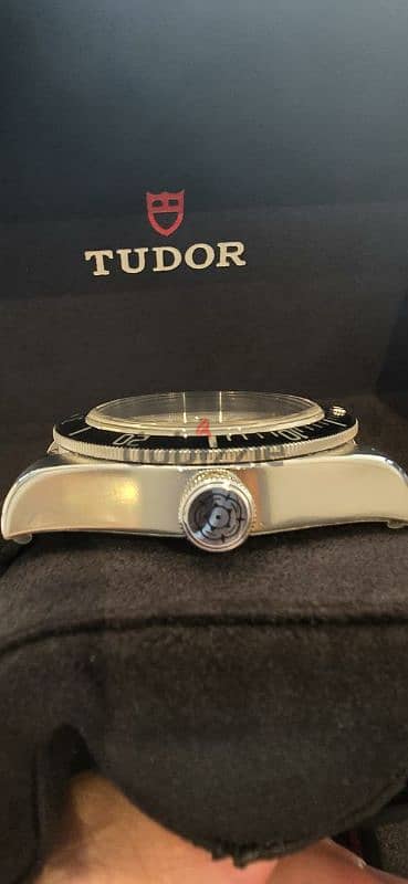 tudor 2