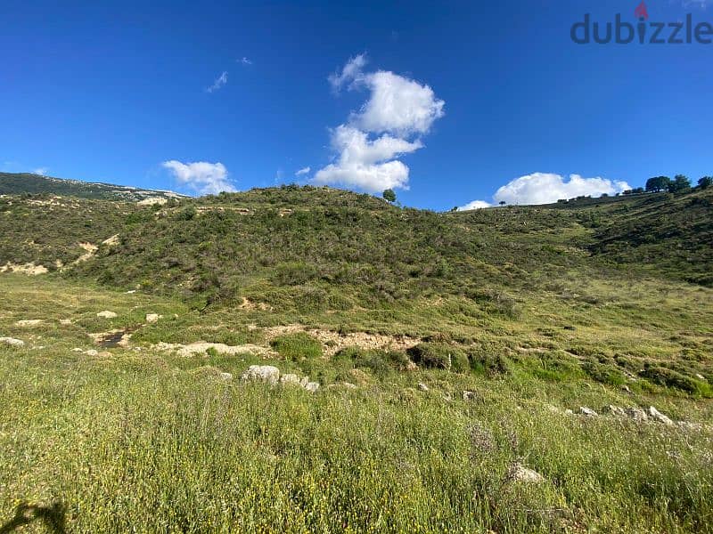 land for sale in arz baroukارض للبيع في أرز الباروك٨٠،٠٠٠$ 1