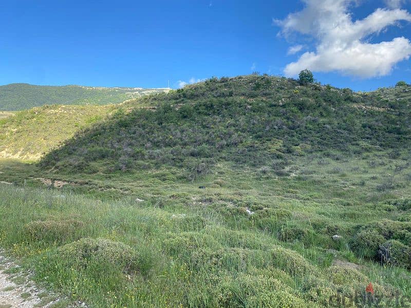 land for sale in arz baroukارض للبيع في أرز الباروك٨٠،٠٠٠$ 2