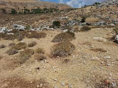 land for sale in baroukارض للبيع في الباروك ١٥$/م 0