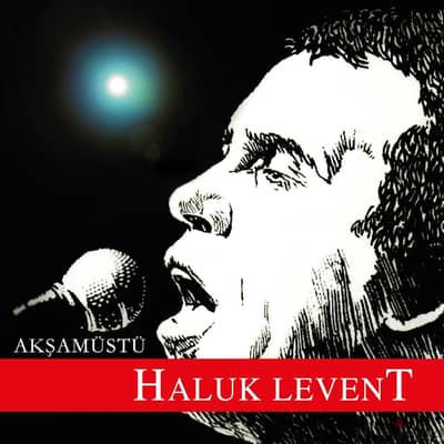 Haluk Levent - Akşamüstü ( LP )