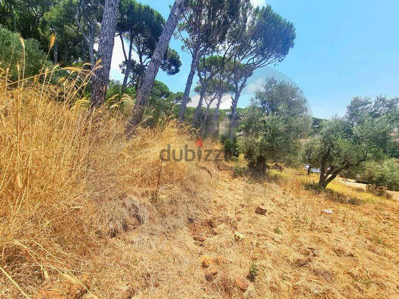 985 SQM land for sale in RAS EL MATN/رأس المتنREF#OS110526 1