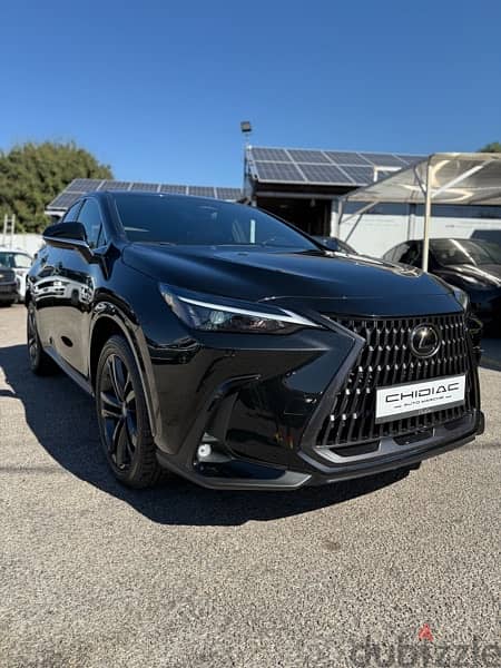 Lexus NX-Series 2022 1