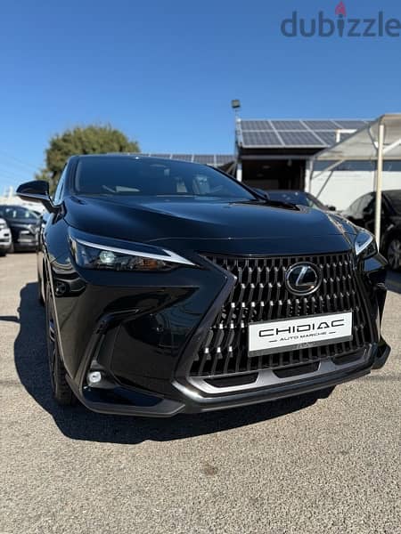 Lexus NX-Series 2022 6