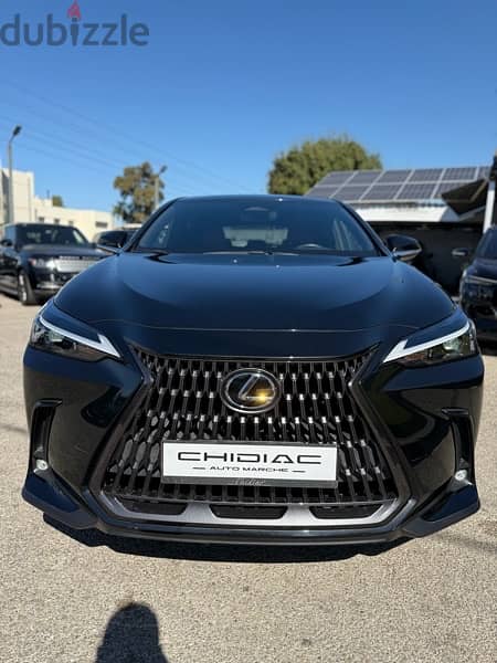 Lexus NX-Series 2022 7