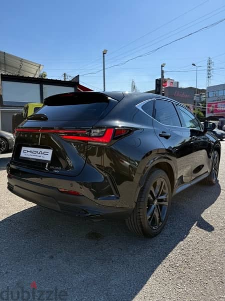 Lexus NX-Series 2022 18