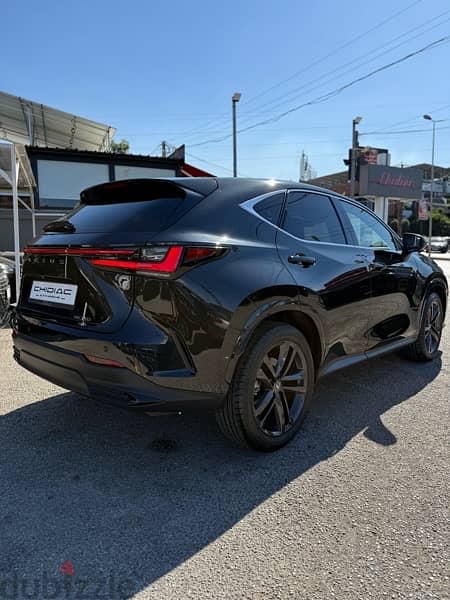 Lexus NX-Series 2022 19