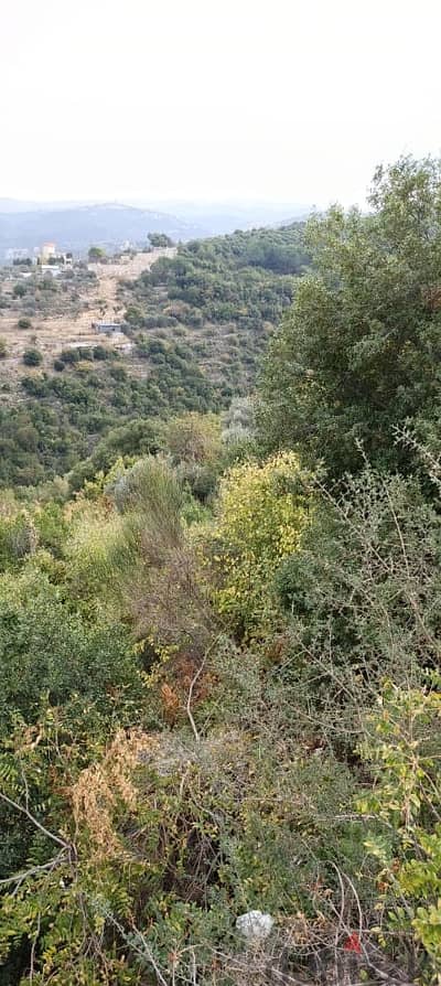 Land for sale in Abdelli batroun أرض للبيع في العبدلي البترون