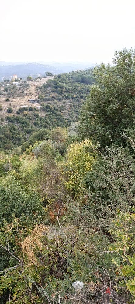 Land for sale in Abdelli batroun أرض للبيع في العبدلي البترون 0