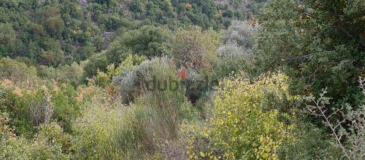 Land for sale in Abdelli batroun أرض للبيع في العبدلي البترون 2