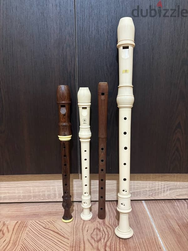 flutes music instrument 2