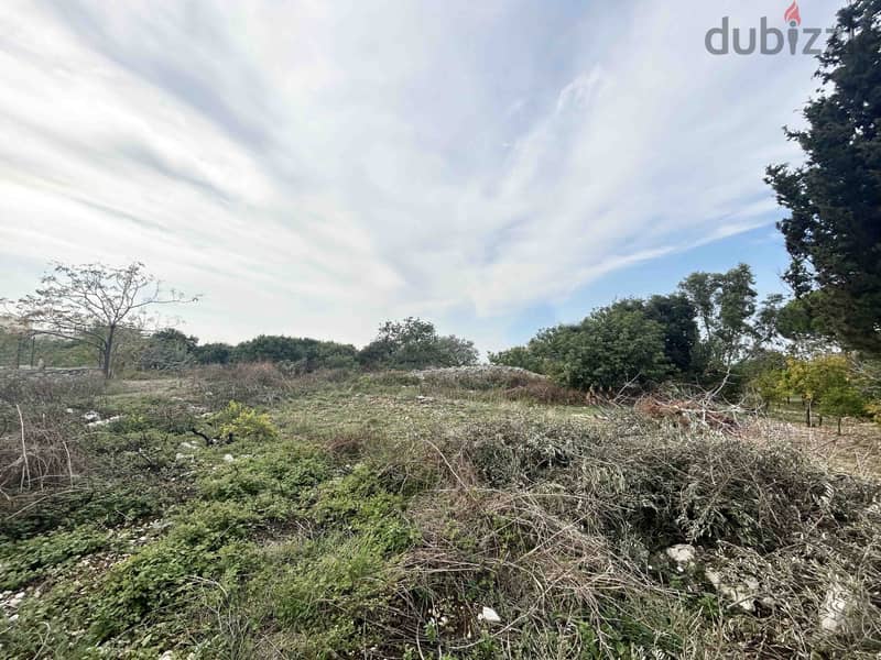 Land For Sale In Chikhane | Calm Area | أرض للبيع | PLS 26186 2