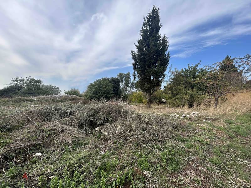 Land For Sale In Chikhane | Calm Area | أرض للبيع | PLS 26186 3