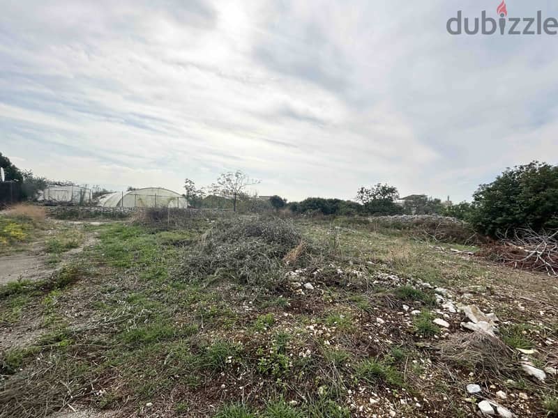 Land For Sale In Chikhane | Calm Area | أرض للبيع | PLS 26186 6