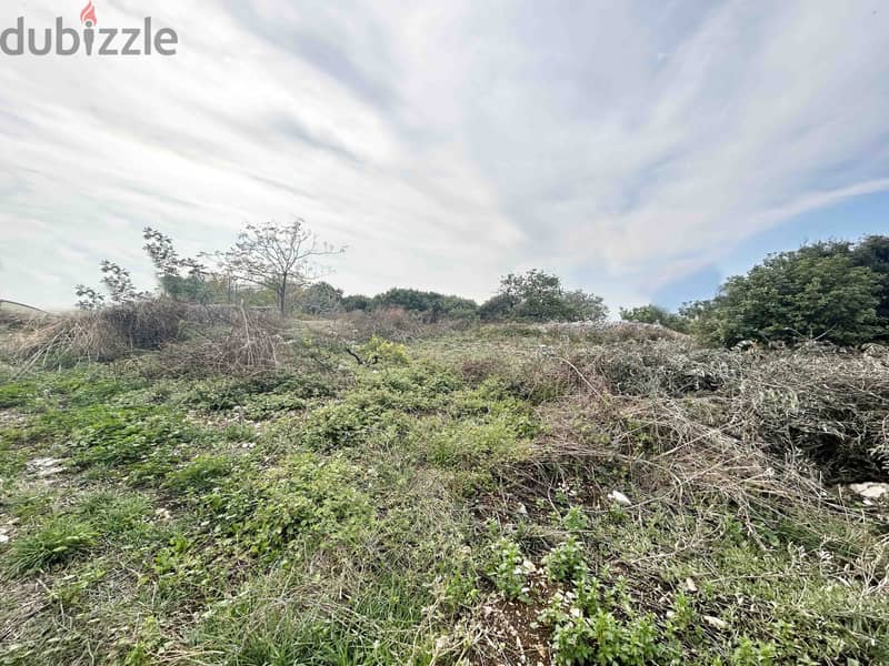 Land For Sale In Chikhane | Calm Area | أرض للبيع | PLS 26186 8