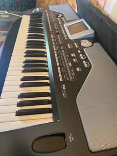 KORG Pa800 pro ex 0