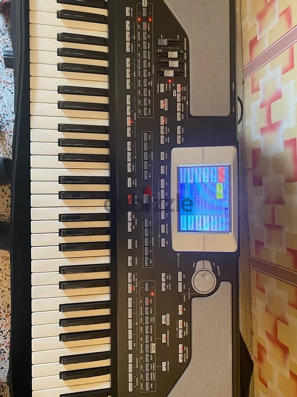 KORG Pa800 pro ex 1