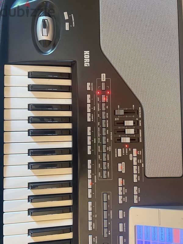 KORG Pa800 pro ex 2