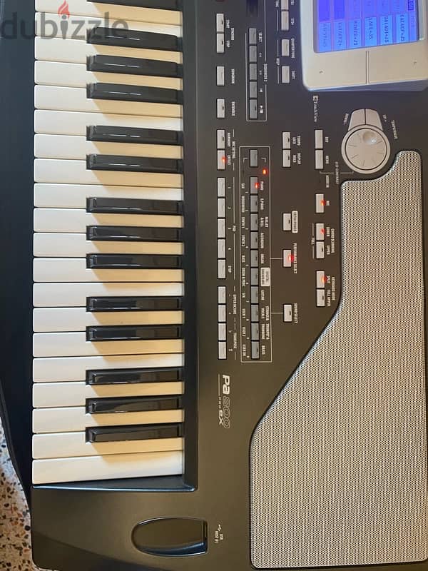 KORG Pa800 pro ex 3