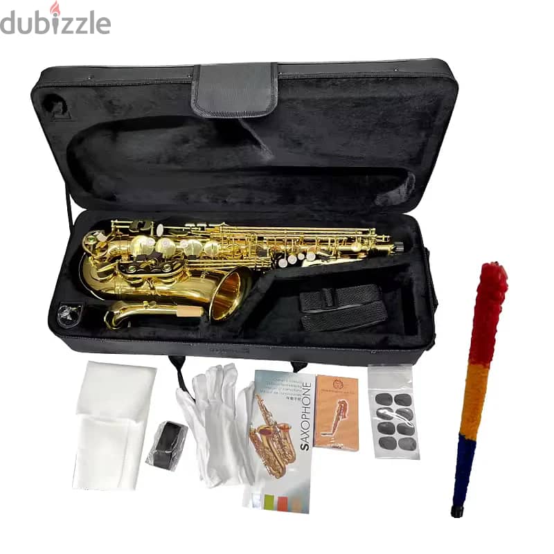 Aiersi AS-201 Alto Saxophone 1