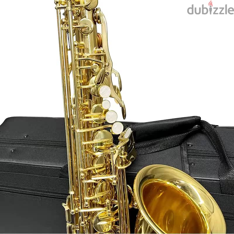 Aiersi AS-201 Alto Saxophone 2