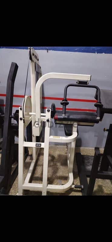 Life Fitness triceps machine used 700$