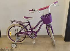 Kids Bicycles 0