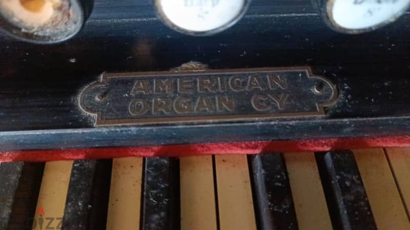 orgue Antique 3