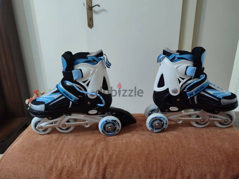 skating shoes 1