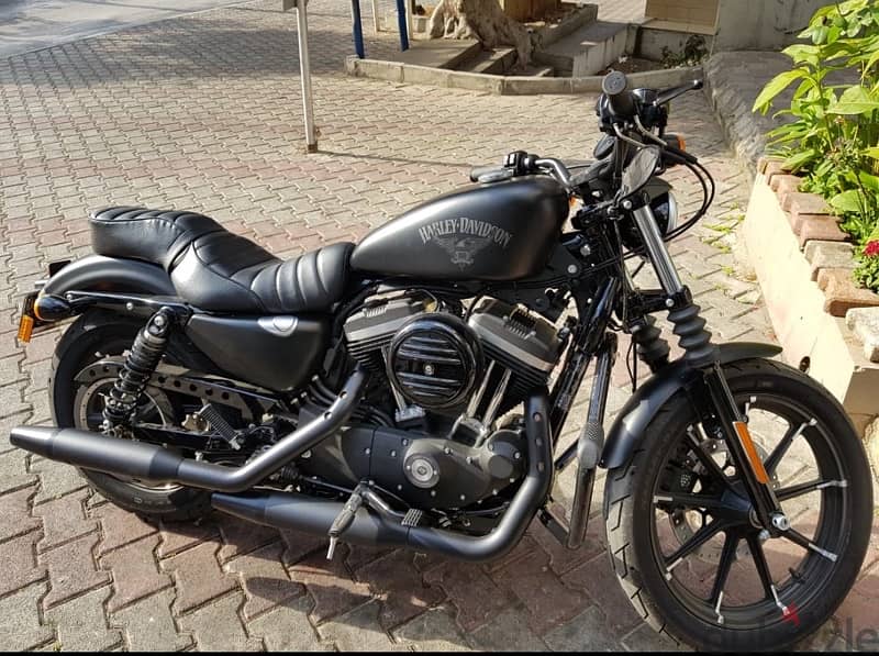 Rare” Harley Davidson iron883XL 2017 — 2500km only HOt DEAL 1