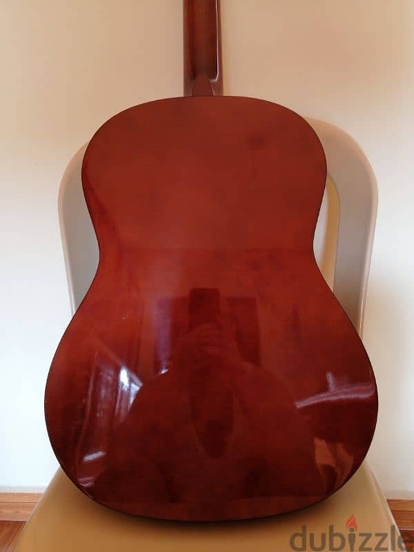 Karl Schneider guitar 2