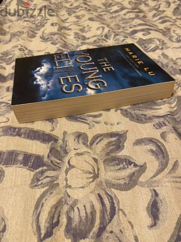 Young Elites Book 1 - Marie Liu, excellent condition 4