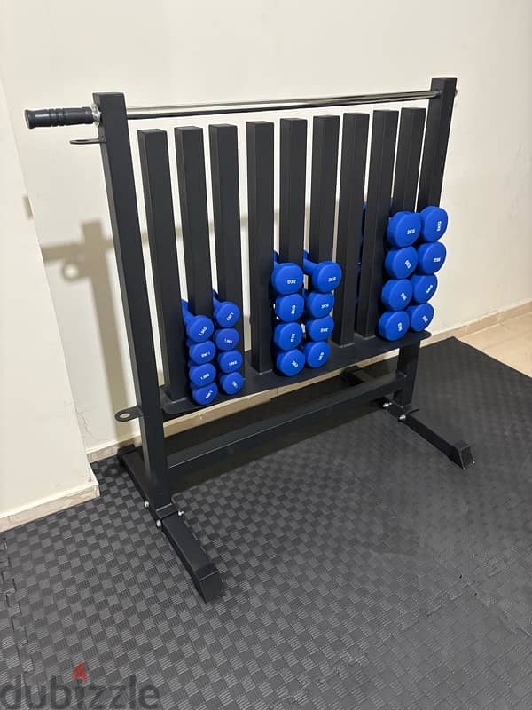 dumbell rack with neoprene dumbells 1