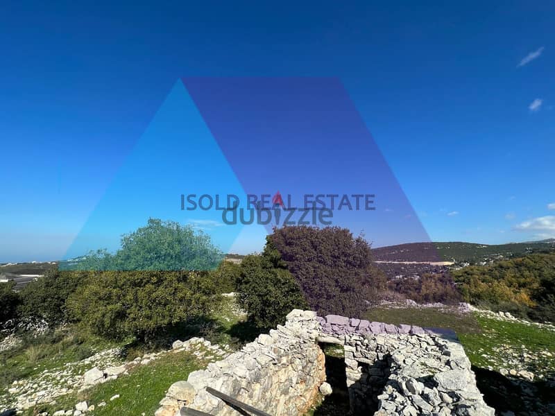 A 16335 m2 High Potential Land for sale in Lehfed/Jbeil 1