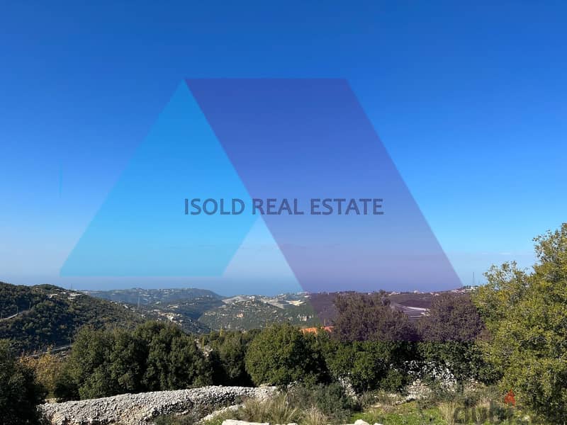 A 16335 m2 High Potential Land for sale in Lehfed/Jbeil 2