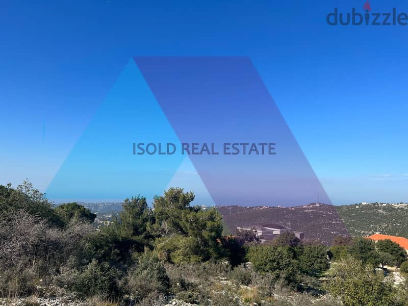 A 16335 m2 High Potential Land for sale in Lehfed/Jbeil 4