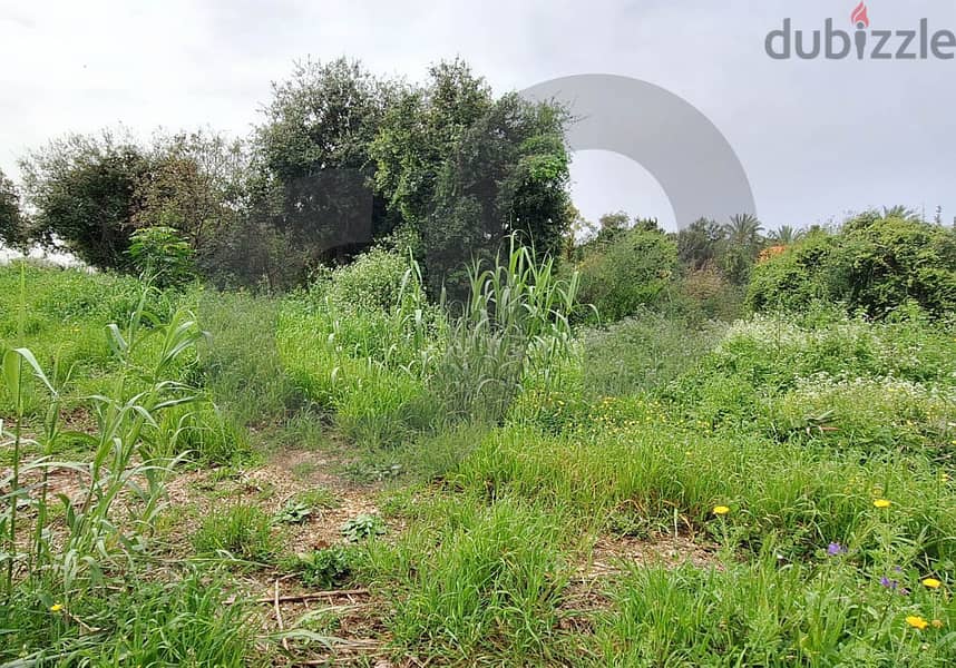 Prime Area, Gated Community, jbeil, amcit/عمشيت REF#AB114598 2