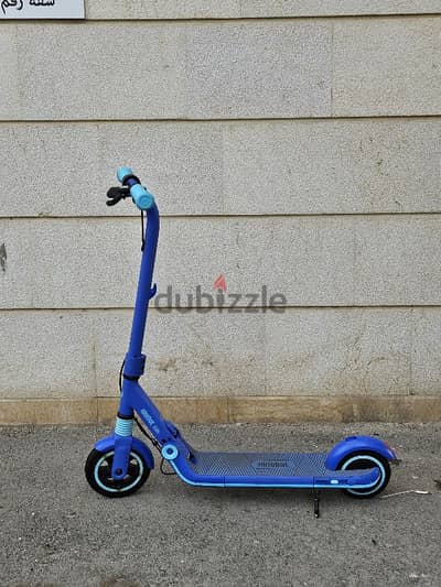 electric scooter