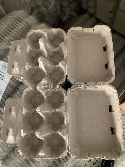 Eggs Carton for 12 and 6 eggs